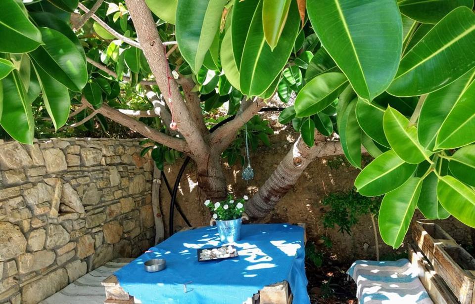 Sun Day Villa Αχλιά Εξωτερικό φωτογραφία